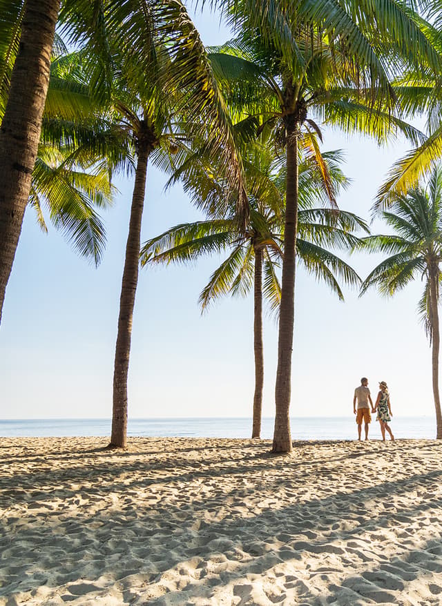 Erwachsenenhotels Paar am Strand unter Palmen
