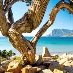 Urlaub in Sardinien