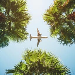 flugzeug-g-1066253974.jpeg