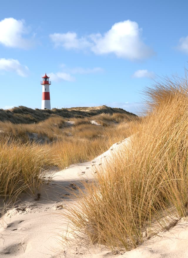 Zu den Angeboten Leuchtturm Sylt
