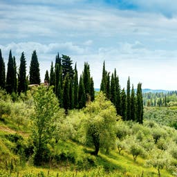 italien-g-1244584599.jpg