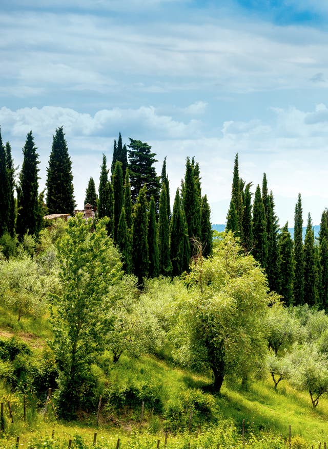 Italien Urlaub Landschaft Italien