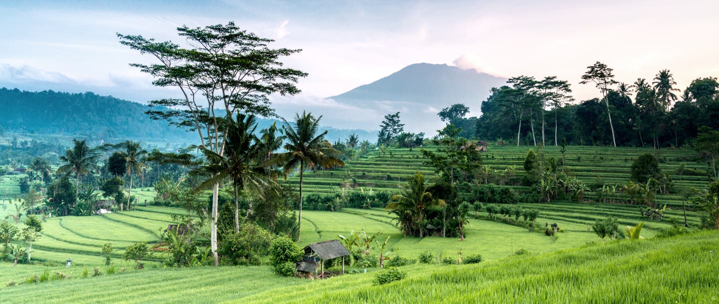 Landschaft auf Bali