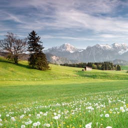 Urlaub im Allgäu