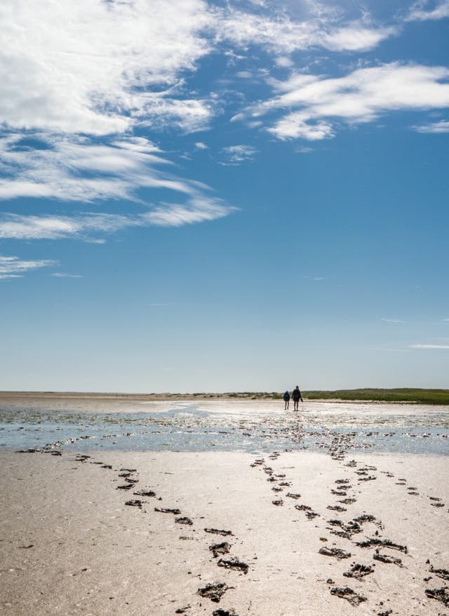 Zu den Angeboten Wattwandern in der deutschen Nordsee