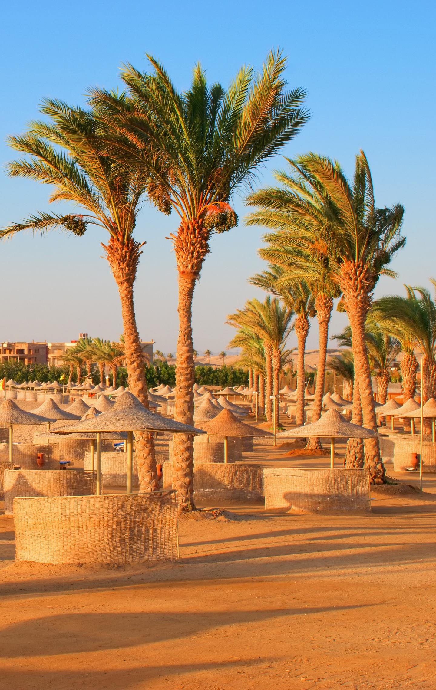 Zu den Angeboten Winterurlaub in Ägypten