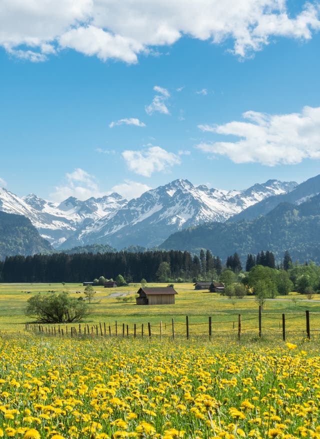 Zu den Angeboten Allgäuer Alpen
