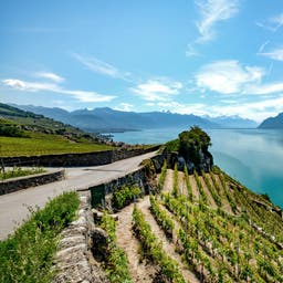 Urlaub Genfer See