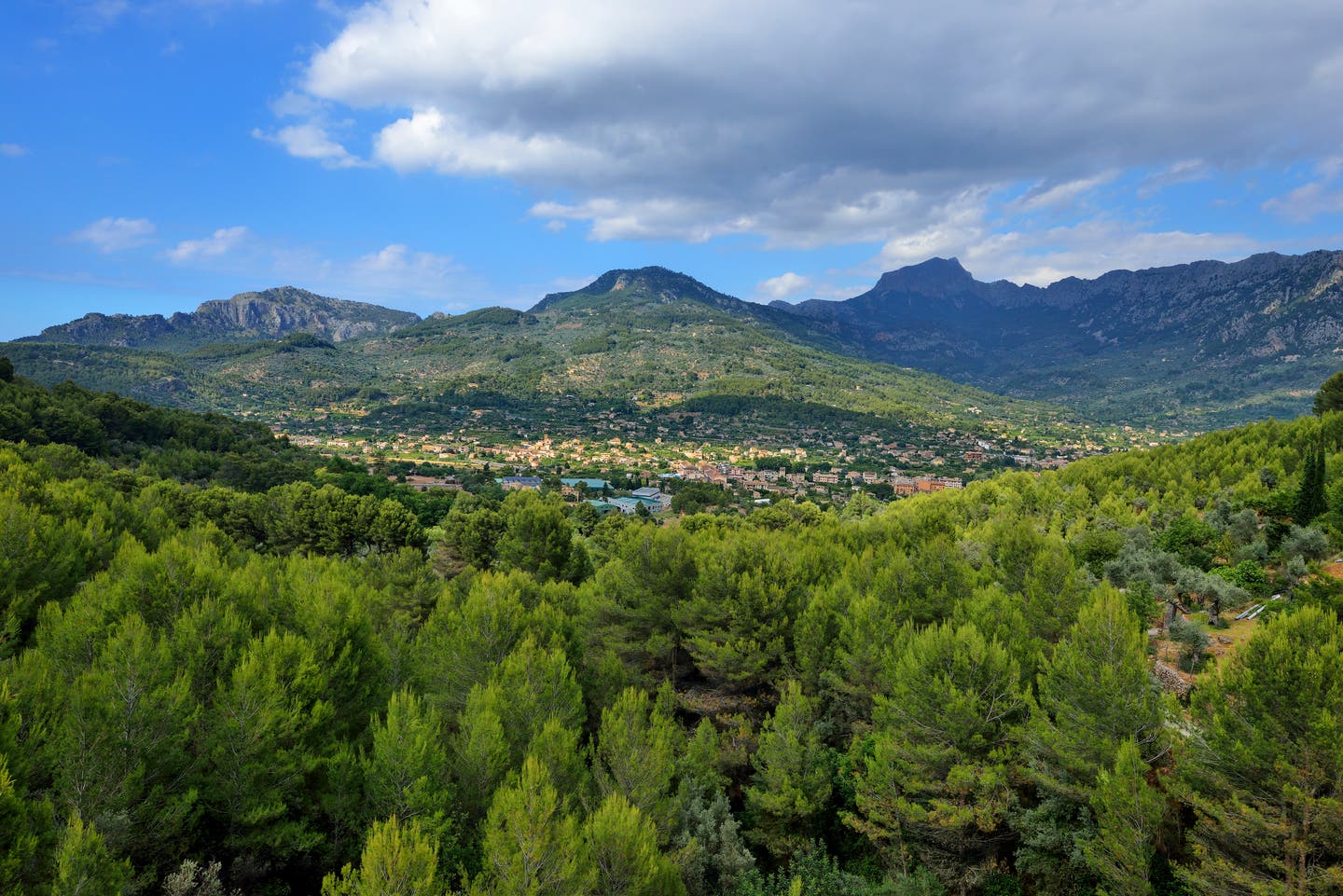 Felanix, Mallorca