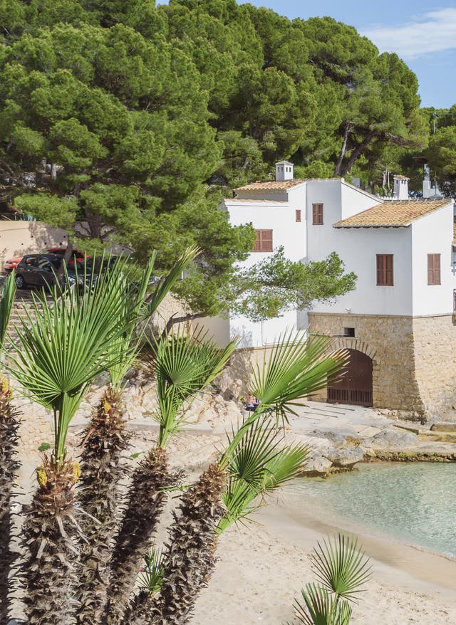 Zu den Angeboten Pauschalreisen Mallorca