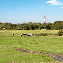 Urlaub Schleswig-Holstein