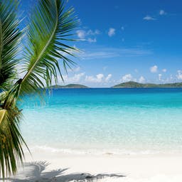 Urlaub in der Karibik