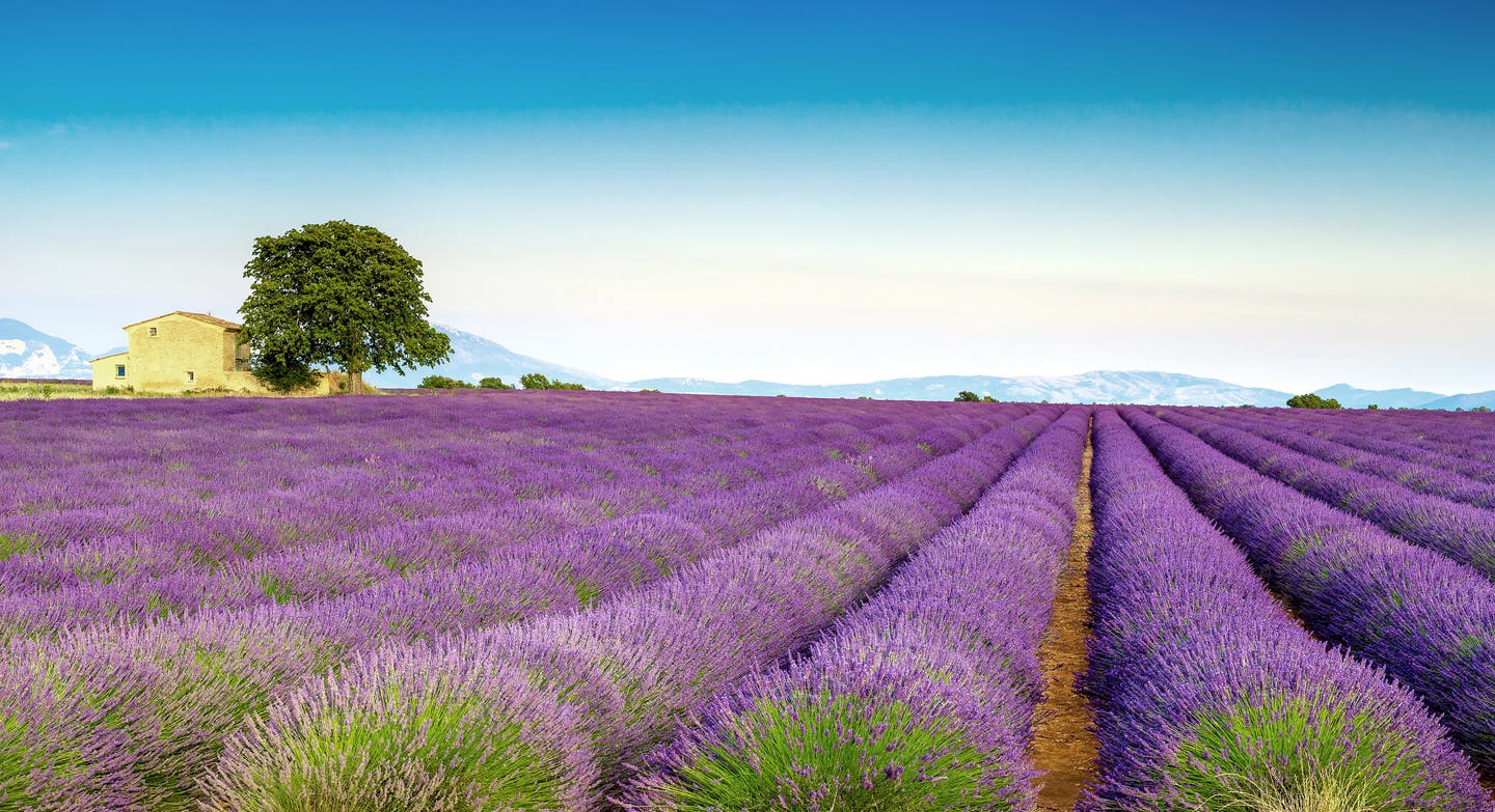 Landschaft in der Provence 