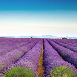 Provence Urlaub