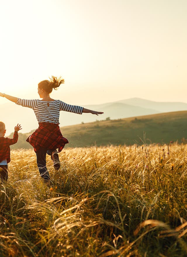 Familien Familie im Feld