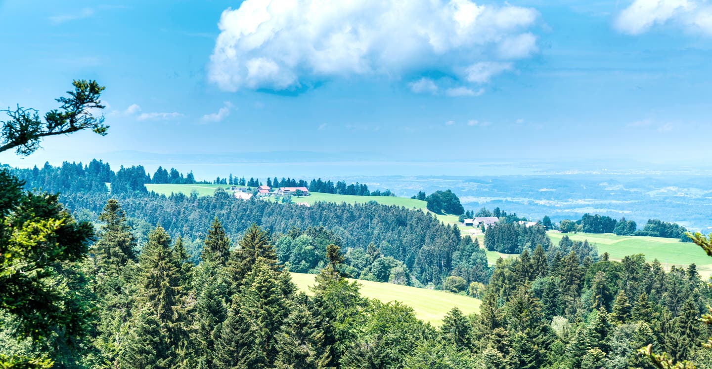 Landschaft in Oberstaufen