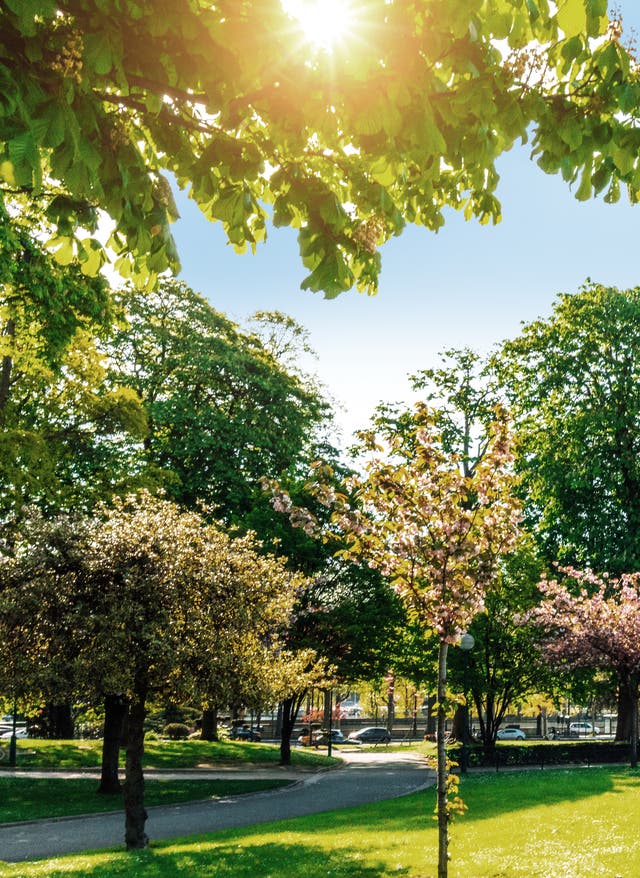 Städtereisen Pariser Eiffelturm