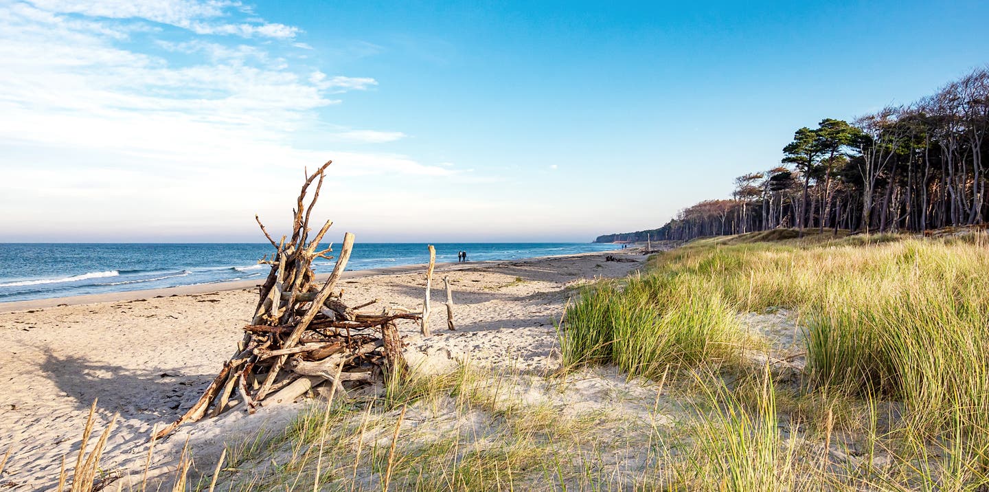 Strand von Prerow