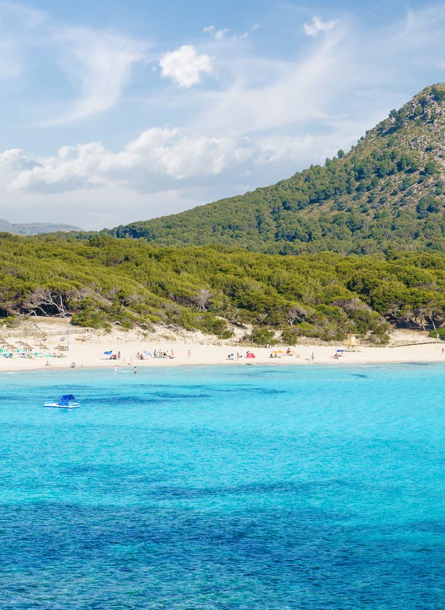 Zu den Angeboten Mallorca Last-Minute