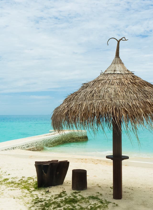 Zu den Angeboten mauritius-strand-palme
