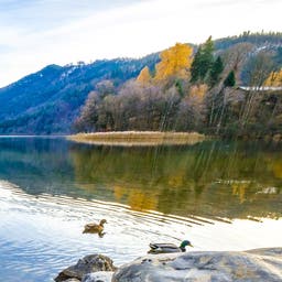 Urlaub in Schliersee
