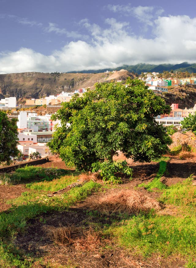 Tipps für La Palma