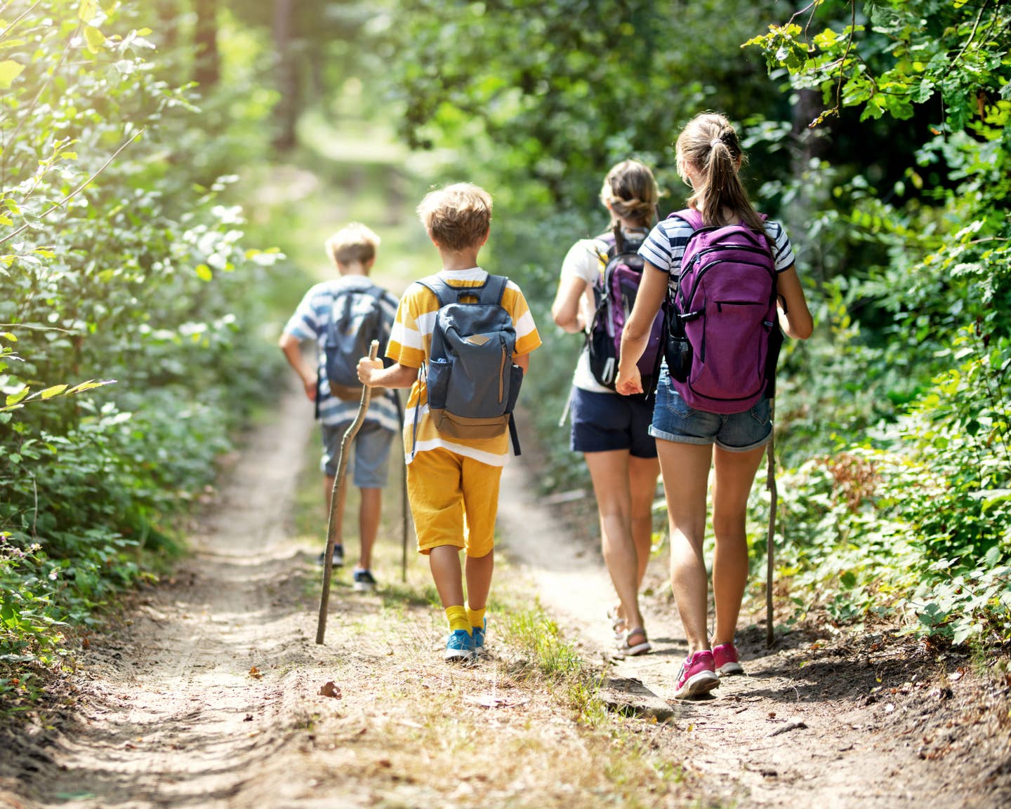 Kinder beim Wandern