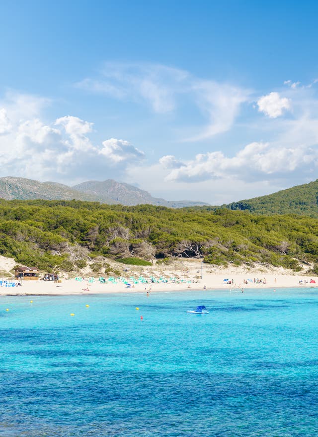 Zu den Angeboten Bucht auf Mallorca