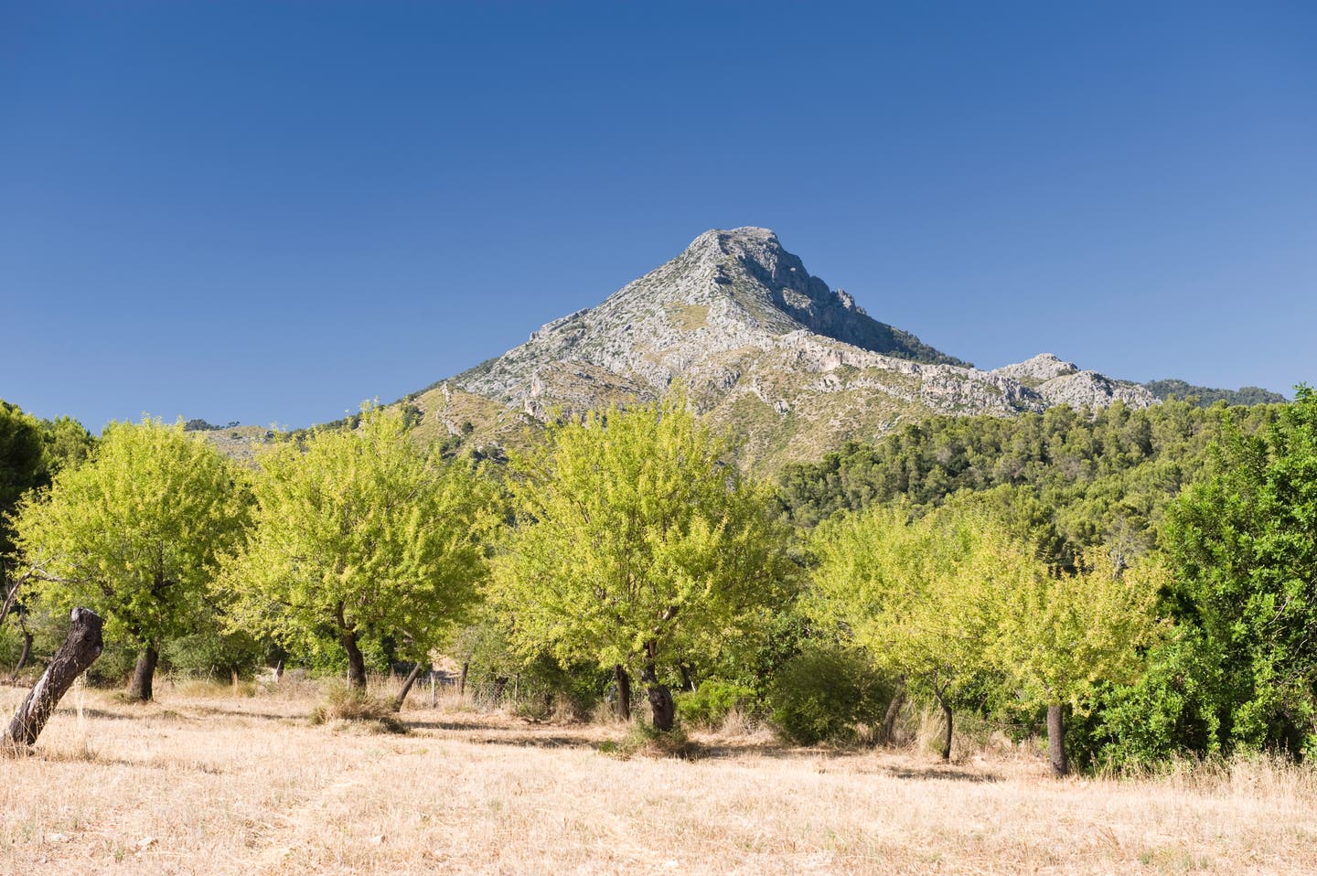 Galazo Mountain auf Mallorca