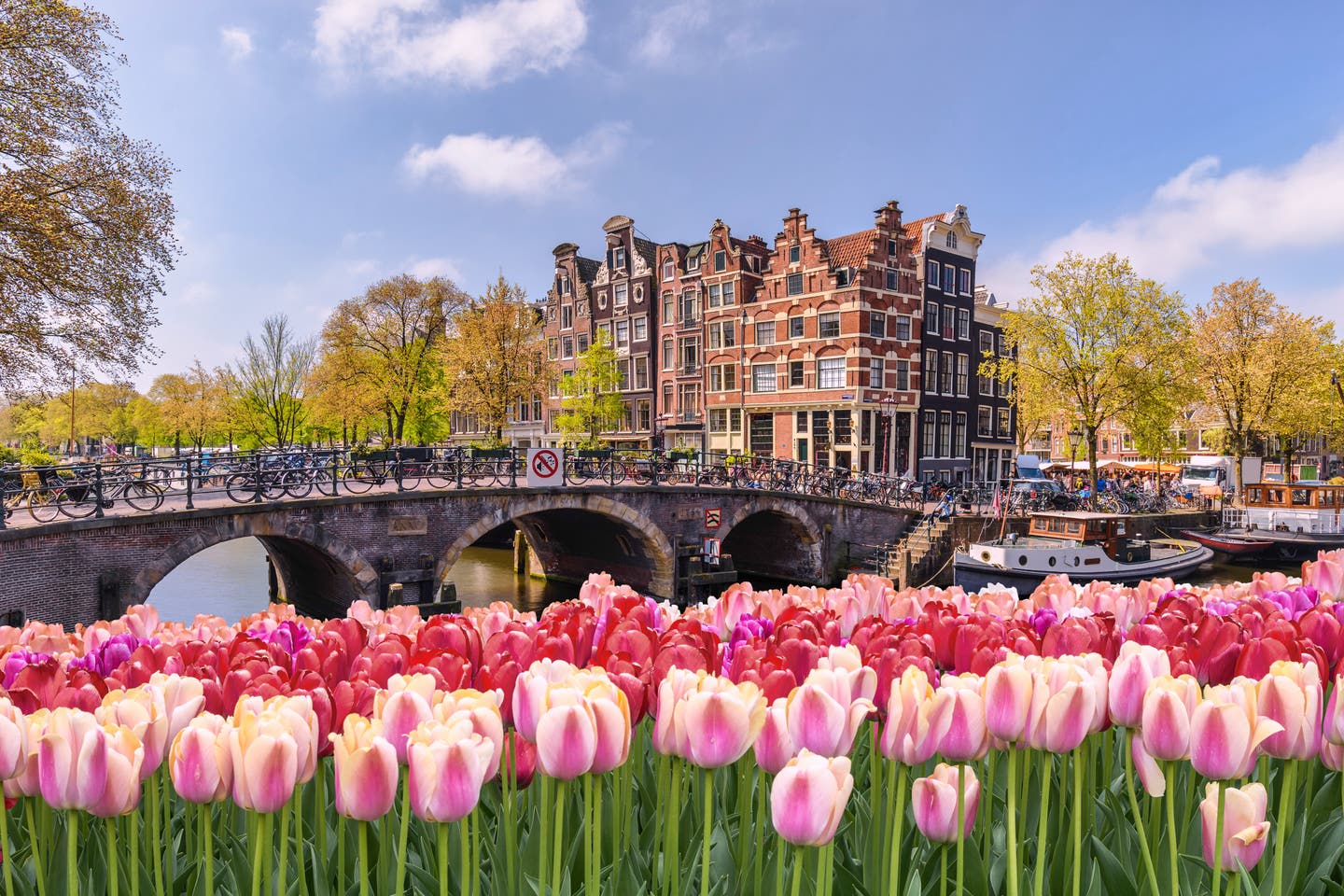 Tulpenpracht in Amsterdam