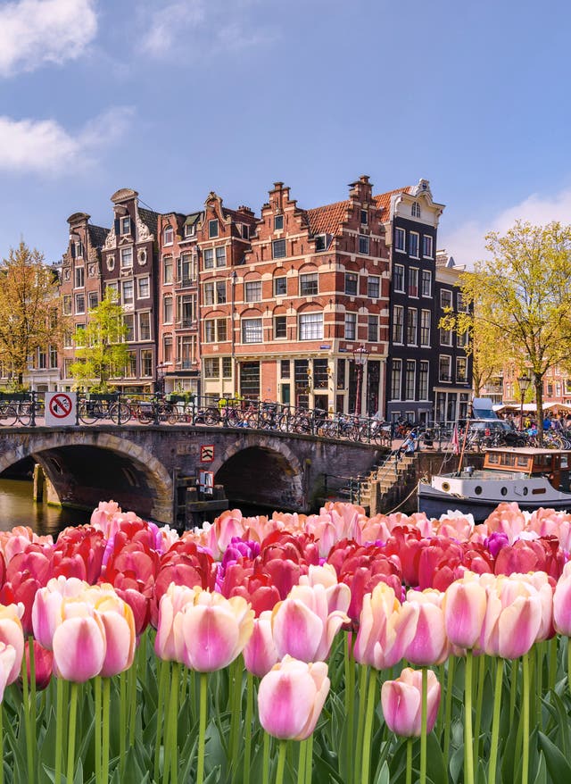 Städtereise Amsterdam im Frühling