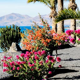 Urlaub Lanzarote