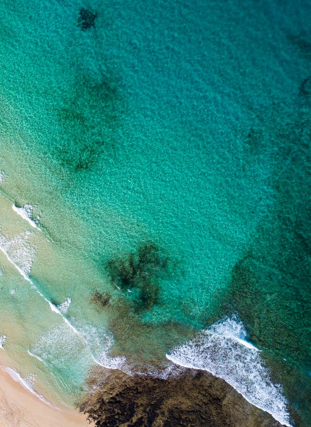 Die Top 9 auf Fuerteventura: die schönsten Strände der Insel