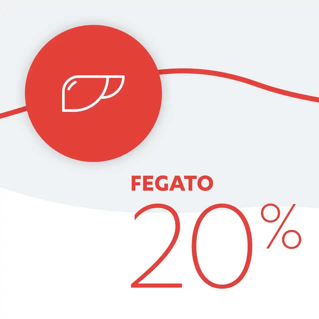 Fegato 20% Fegato 20%