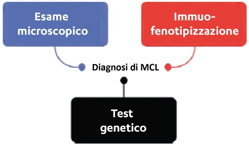 Diagnosi di MCL