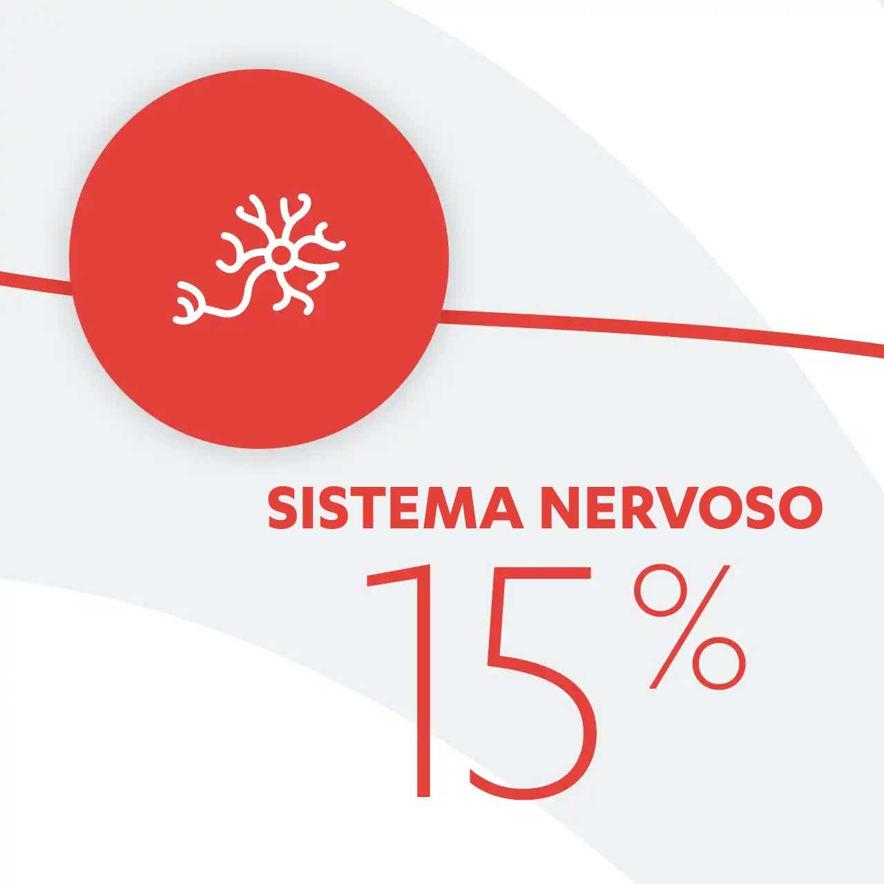 Sistema Nervoso 15% Sistema Nervoso 15%