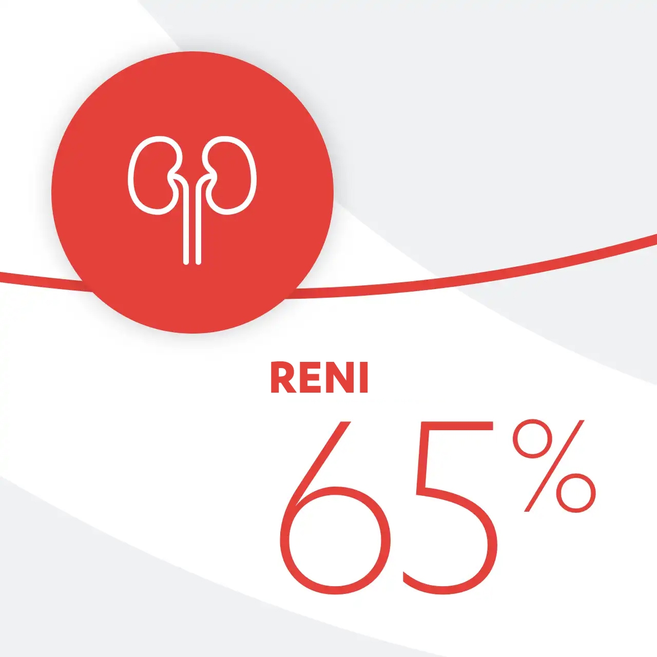 Reni 65%