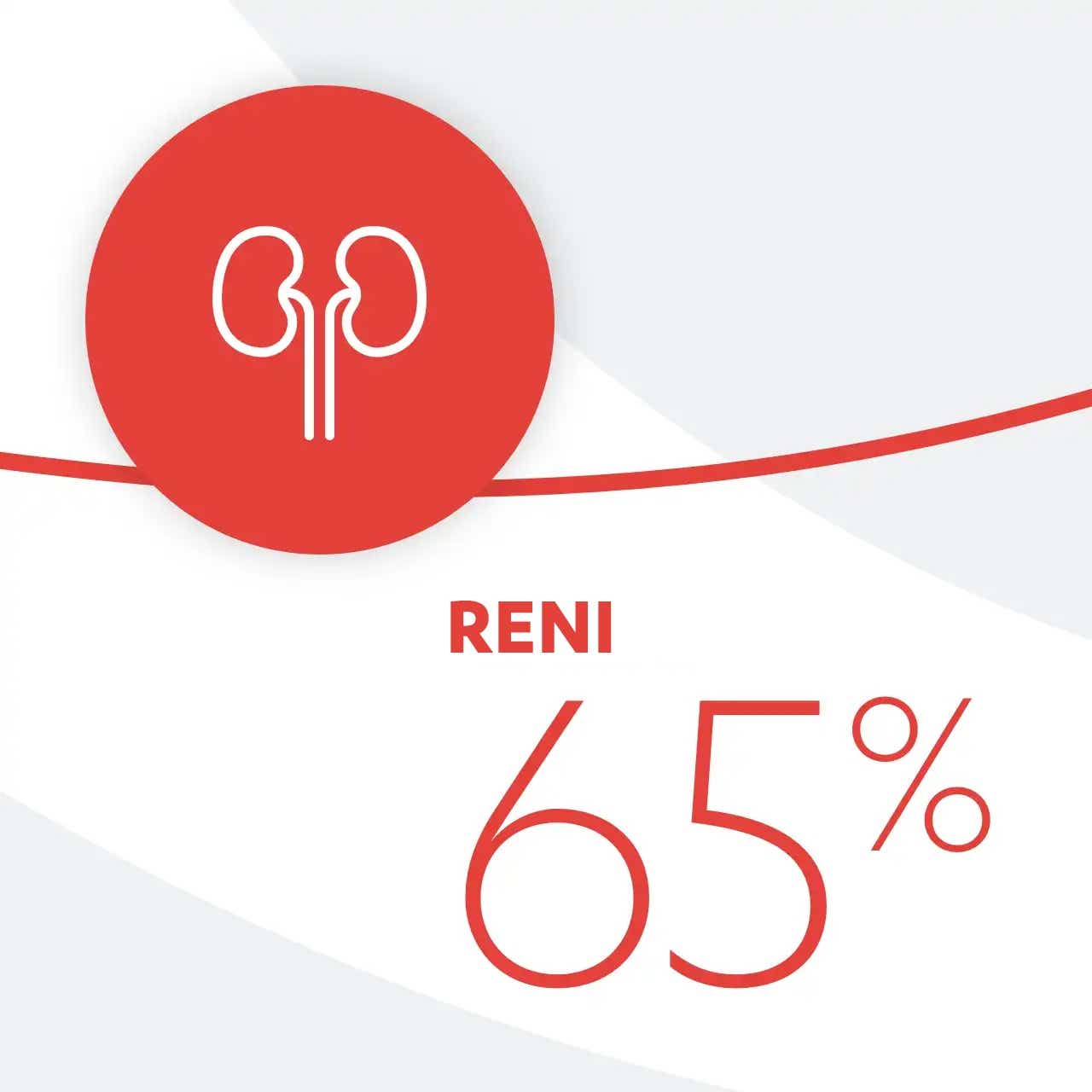 Reni 65% Reni 65%