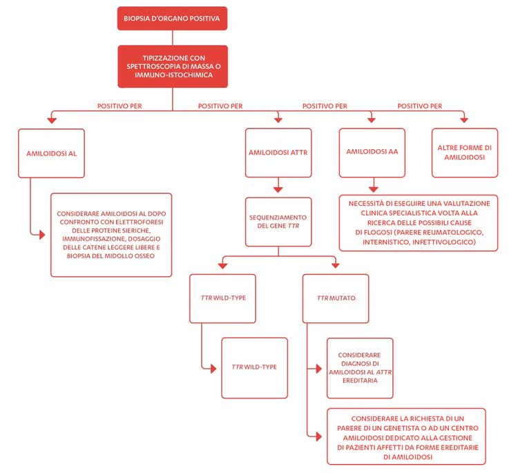 CONSIDERAZIONI SUI SOTTOTIPI DI AMILOIDOSI AL CONSIDERAZIONI SUI SOTTOTIPI DI AMILOIDOSI AL