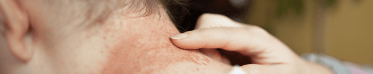 AdobeStock_157314019 AdobeStock_157314019