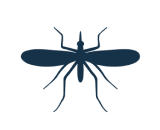 Punture di insetti Il virus NON può essere trasmesso da punture di insetti