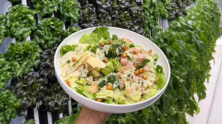St. Louis salad shop Neon Greens offers vision of supply chain future with on-site hydroponics