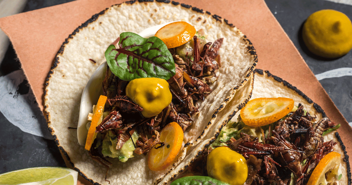 Future of Food: Insects for dinner