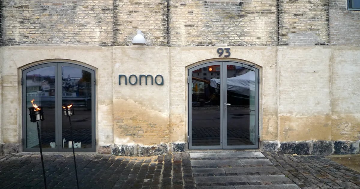 Nomadom Rizafa René Redzepi resigns as head of Noma and MAD