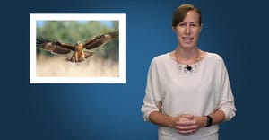 ISS ND November 2019 Raptors.jpg ISS ND November 2019 Raptors.jpg