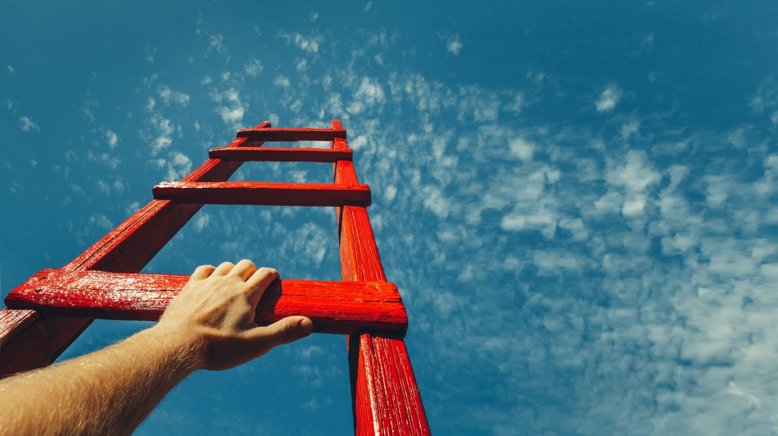 Ready to Advance Your Self-Storage Management Career? Focus on These 3 Areas - Vimarsana News