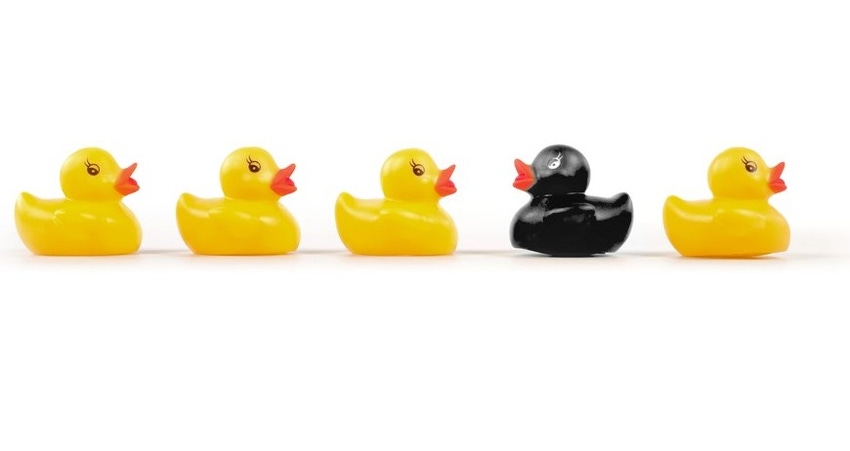 Don’t Get Stuck With an Ugly Duckling! Tips for a Smooth Self-Storage Due-Diligence Process
