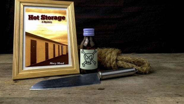 ISS Store Featured Product: ‘Hot Storage’ Mystery Novel