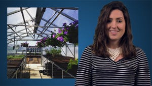 ISS News Desk: St. Louis Self-Storage Operator Leases Rooftop for Urban-Farming Project