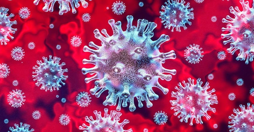 Coronvavirus-Cells.jpg